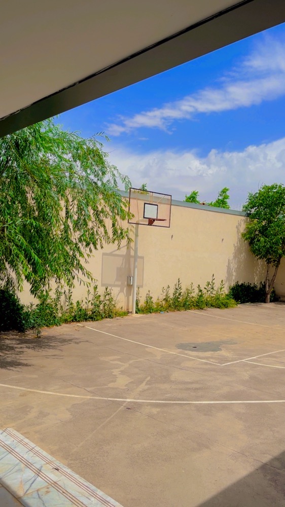 تصویر 3 ویلای سوپر لاکچری / بیلیارد / B 